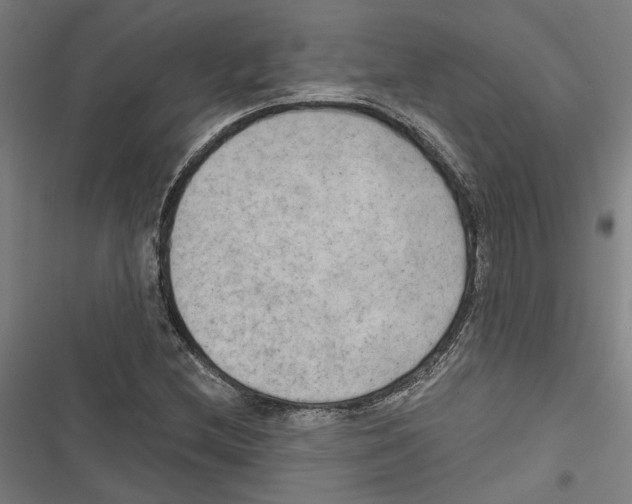 X0000116851212201001191633