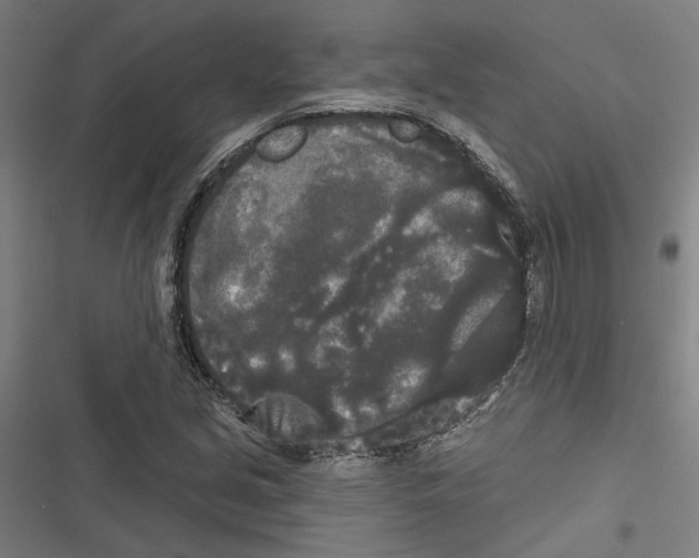 X0000116851213201001191633