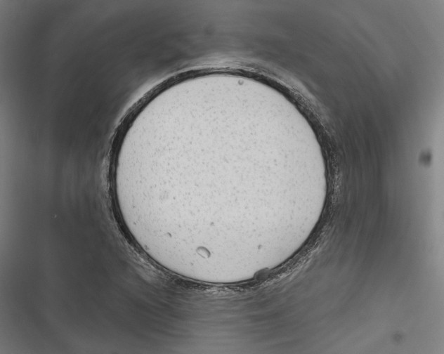 X0000116851216201001191633