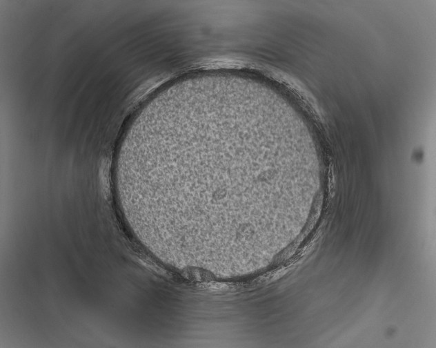 X0000116851217201001191633