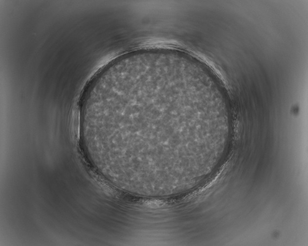 X0000116851219201001191633
