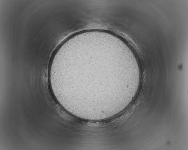 X0000116851220201001191633