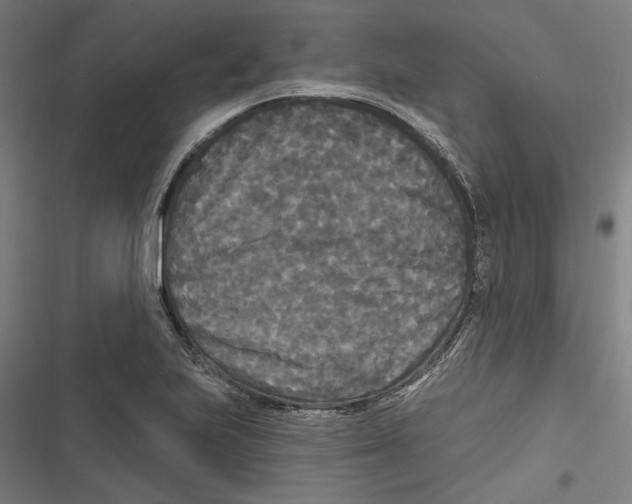 X0000116851223201001191633
