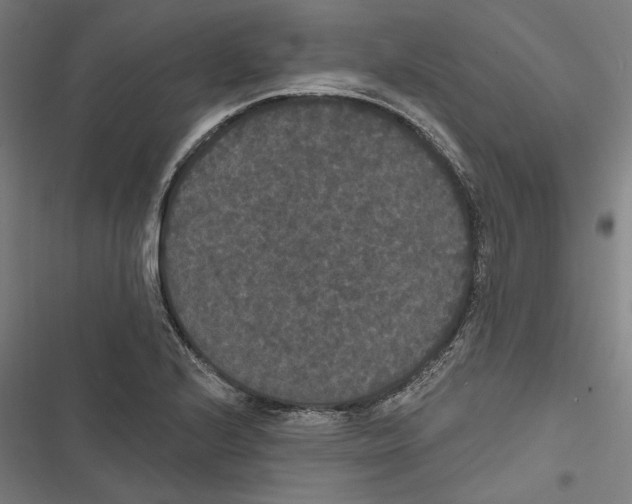 X0000116851224201001191633