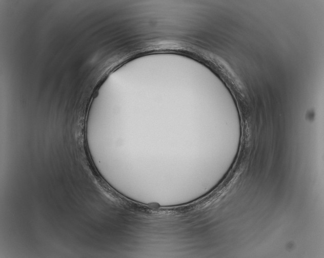 X0000116851225201001191633