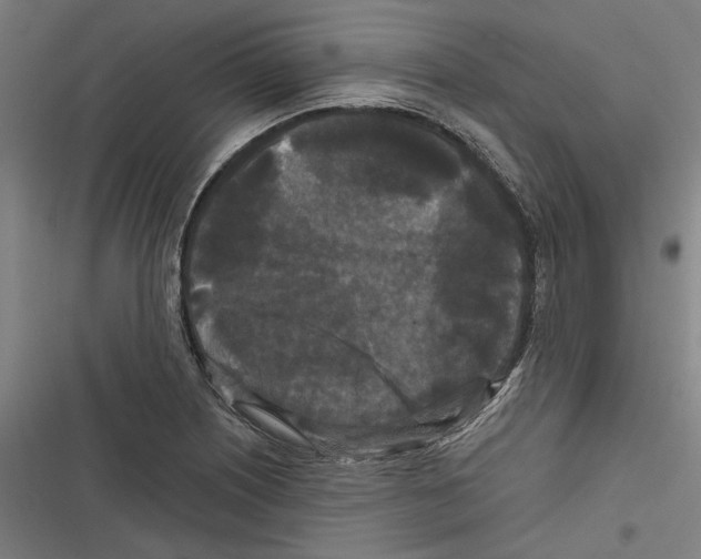 X0000116851226201001191633