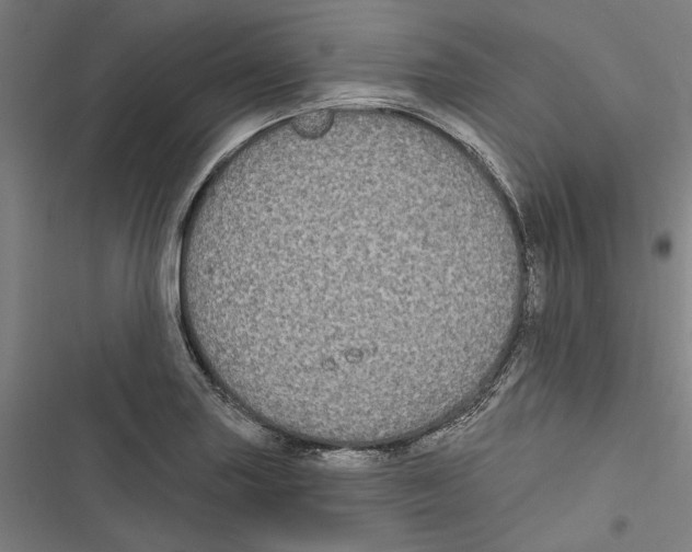 X0000116851227201001191633