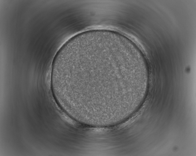 X0000116851228201001191633