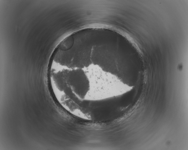 X0000116851229201001191633