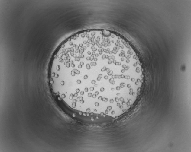 X0000116851230201001191633