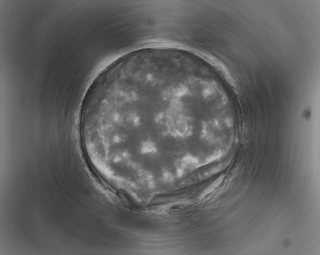 X0000116851231201001191633