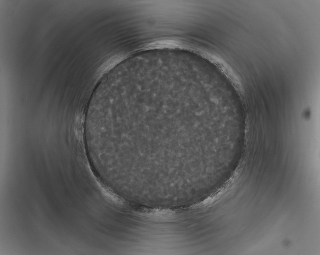 X0000116851233201001191634