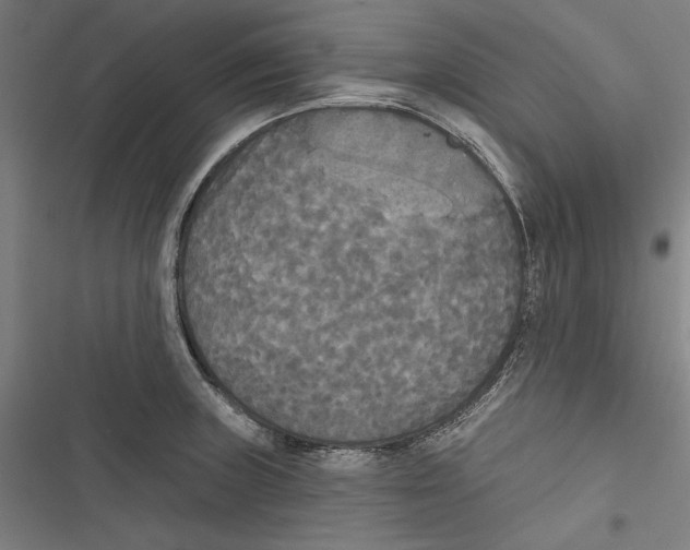 X0000116851235201001191634