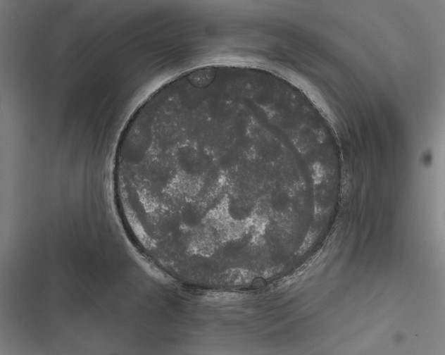 X0000116851237201001191634
