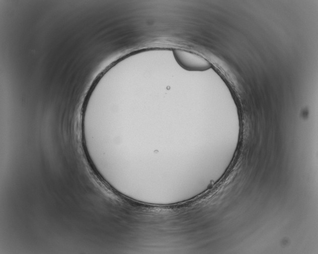 X0000116851238201001191634