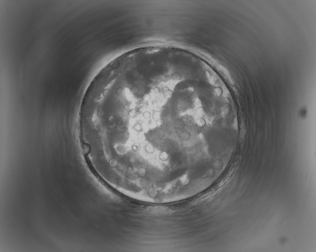 X0000116851239201001191634