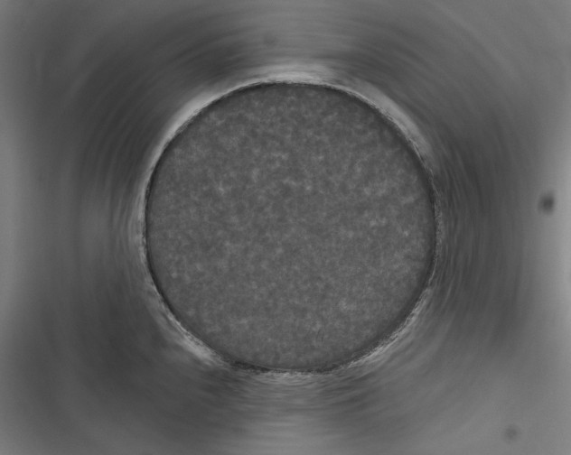 X0000116851240201001191634