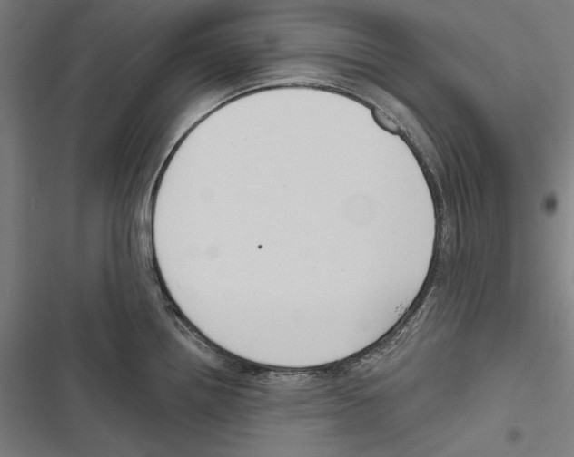 X0000116851242201001191634