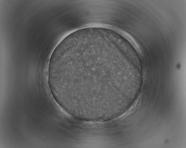 X0000116851244201001191634