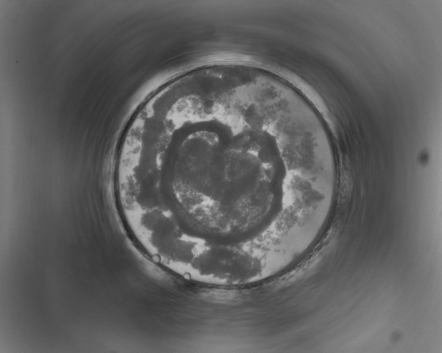 X0000116851245201001191634