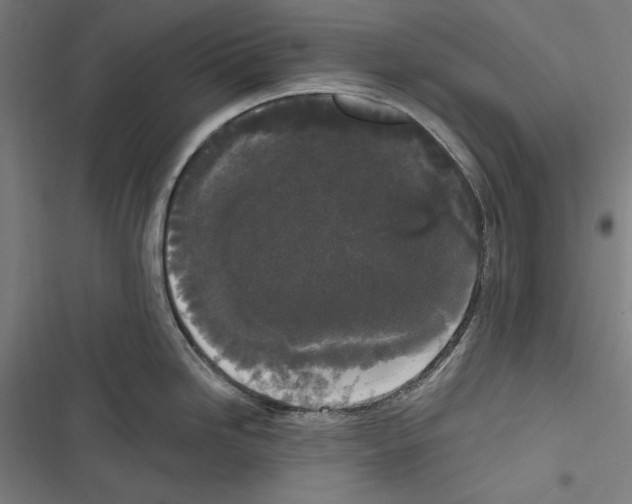 X0000116851246201001191634