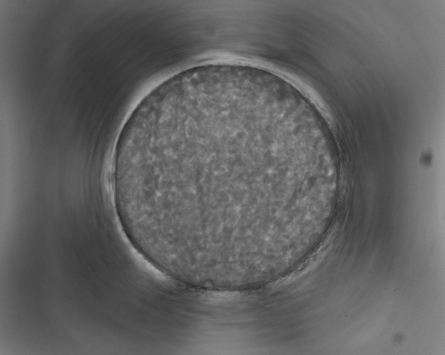 X0000116851247201001191634