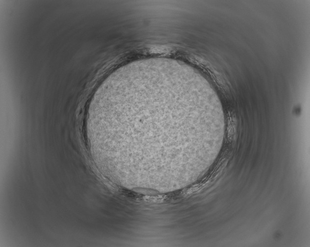 X0000116851249201001191633