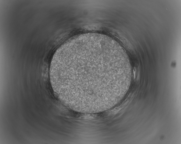 X0000116851251201001191633