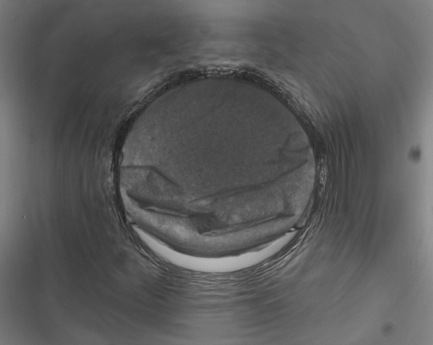 X0000116851252201001191633