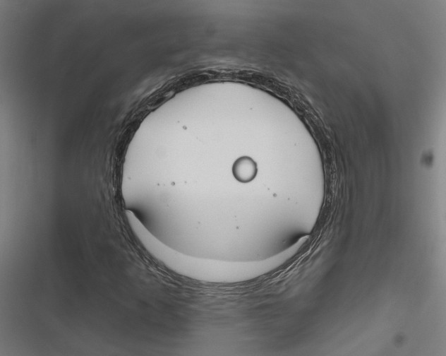 X0000116851253201001191633