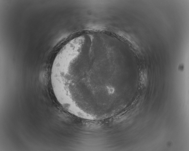 X0000116851254201001191633