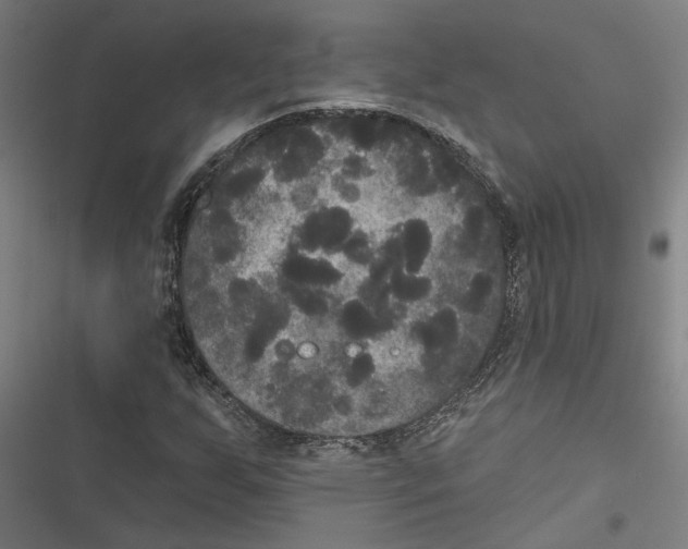 X0000116851255201001191633
