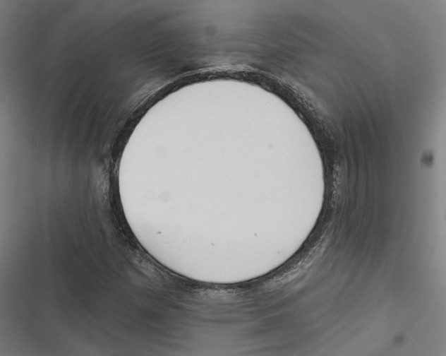 X0000116851257201001191633