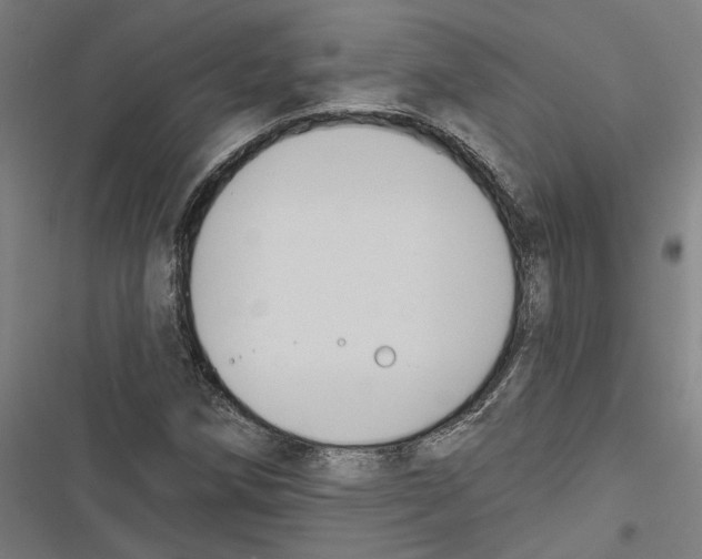 X0000116851258201001191633