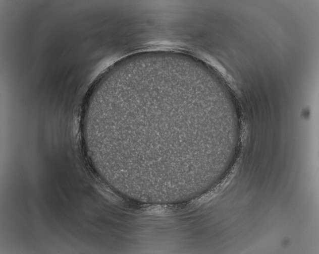 X0000116851259201001191633