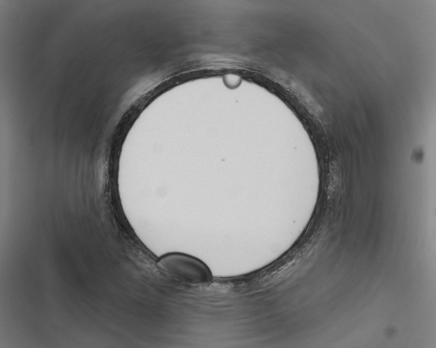 X0000116851261201001191633