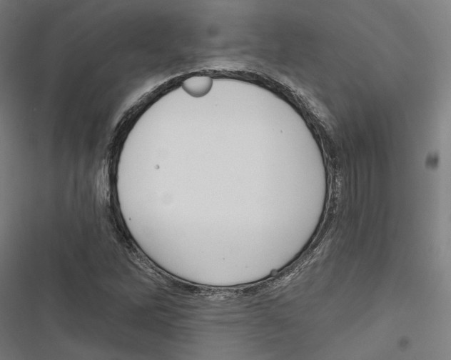 X0000116851262201001191633