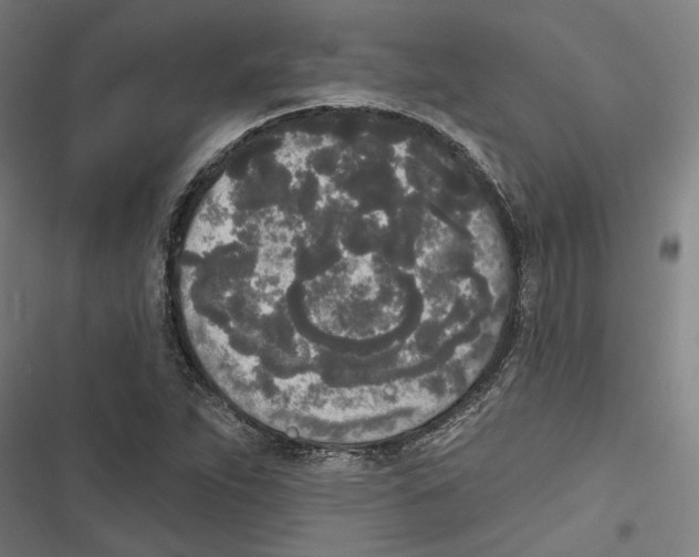 X0000116851263201001191633