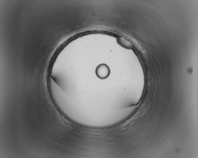 X0000116851264201001191633