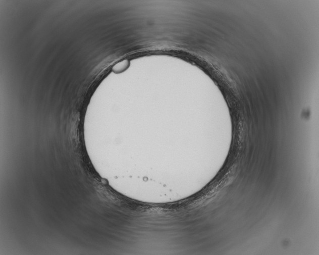 X0000116851265201001191633