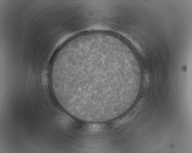 X0000116851266201001191633
