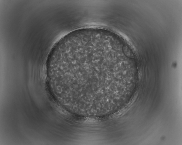 X0000116851267201001191633