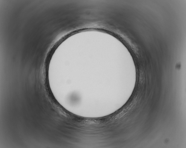 X0000116851270201001191633