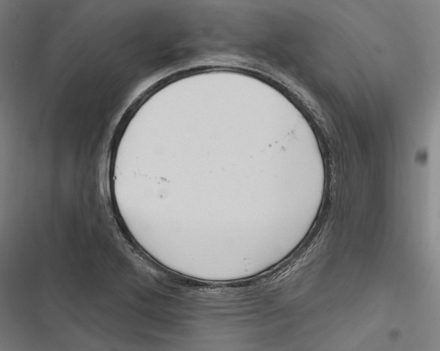 X0000116851272201001191633