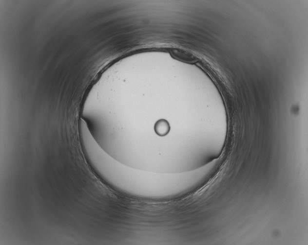 X0000116851273201001191633