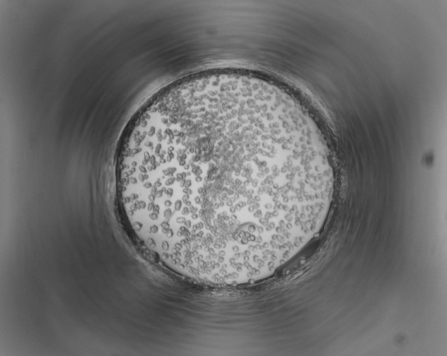 X0000116851274201001191633