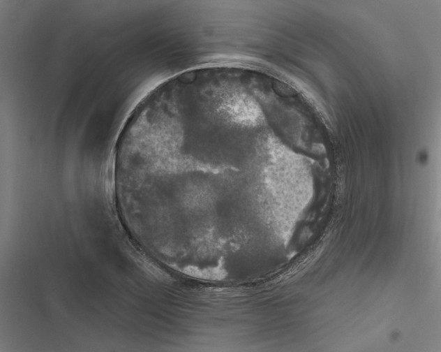X0000116851275201001191633