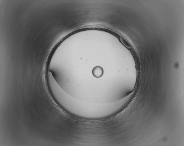 X0000116851277201001191633