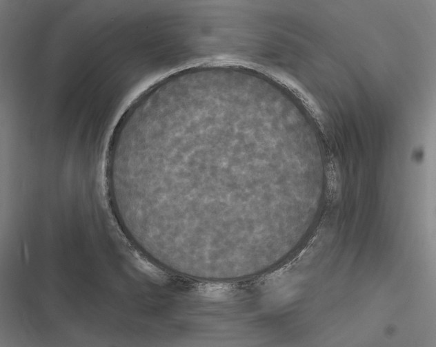 X0000116851278201001191633