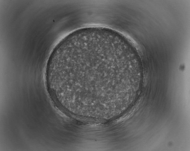 X0000116851279201001191633